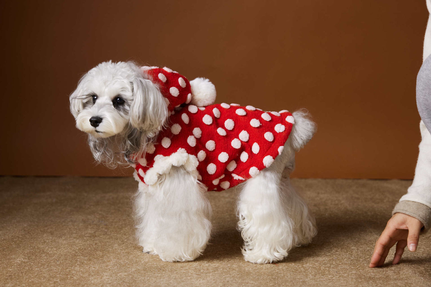 Red New Year Dress Polka Dot Sleeveless Hooded Vest Coat