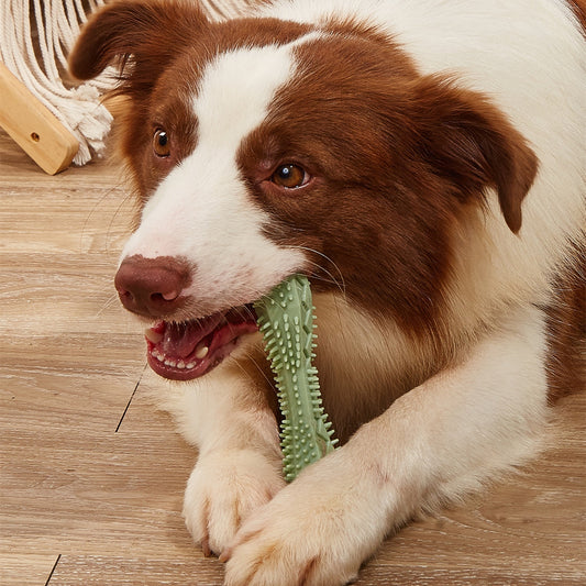 Chew Toys for Dog Teeth Cleaning - Durable & Safe Dental Toys for Dogs