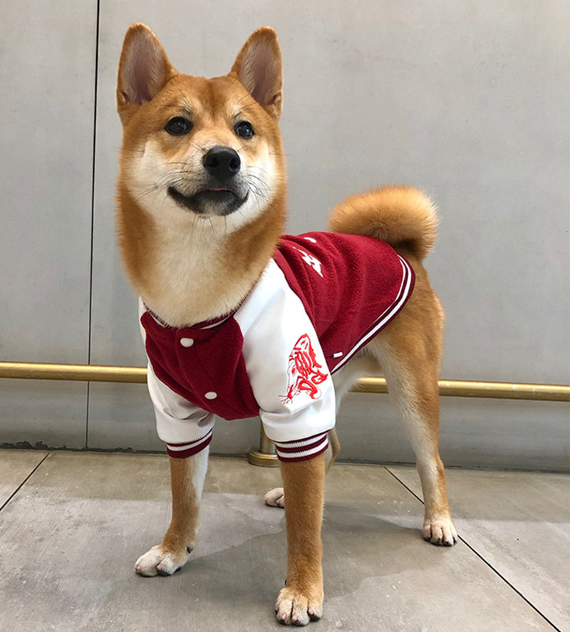 Korea University Pet Cotton Baseball Jacket – Warm Winter Dog Clothes