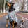Windproof Dog Jacket | Full Size S–6XL | Waterproof Pet Coat for Small to Large Dogs