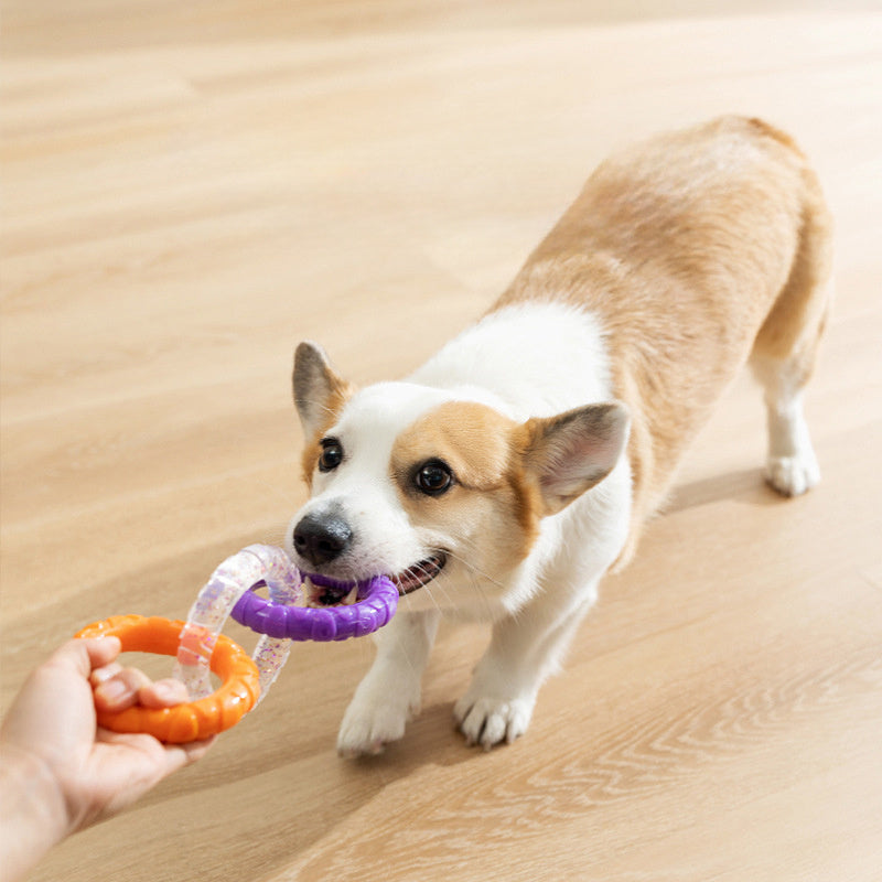 Floating Water Dog Toy – Durable Flying Ring & Training Puller for Small & Medium Dogs