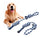 Molar Teeth Cleaning Rope Toy for Dogs - Durable Dental Chew Toy for Plaque & Tartar Removal