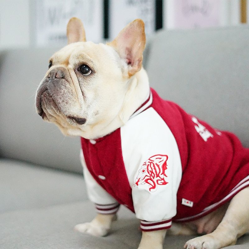 Korea University Pet Cotton Baseball Jacket – Warm Winter Dog Clothes