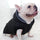 Thickened Vest Padded Jacket Pet Vest