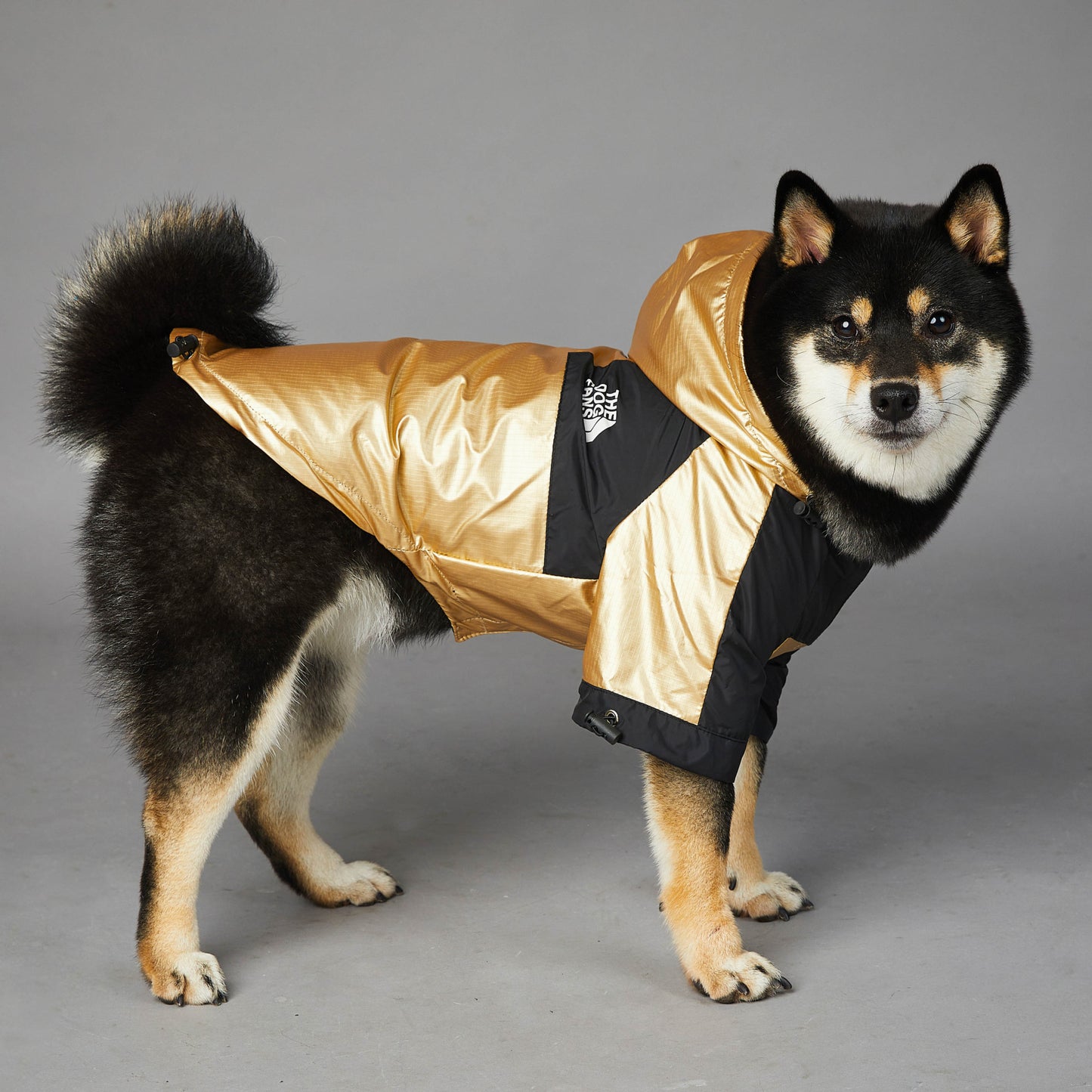 Waterproof Dog Raincoat with Hood – Windproof Winter Pet Jacket for Large Dogs