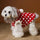 Red New Year Dress Polka Dot Sleeveless Hooded Vest Coat