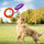 Floating Water Dog Toy – Durable Flying Ring & Training Puller for Small & Medium Dogs
