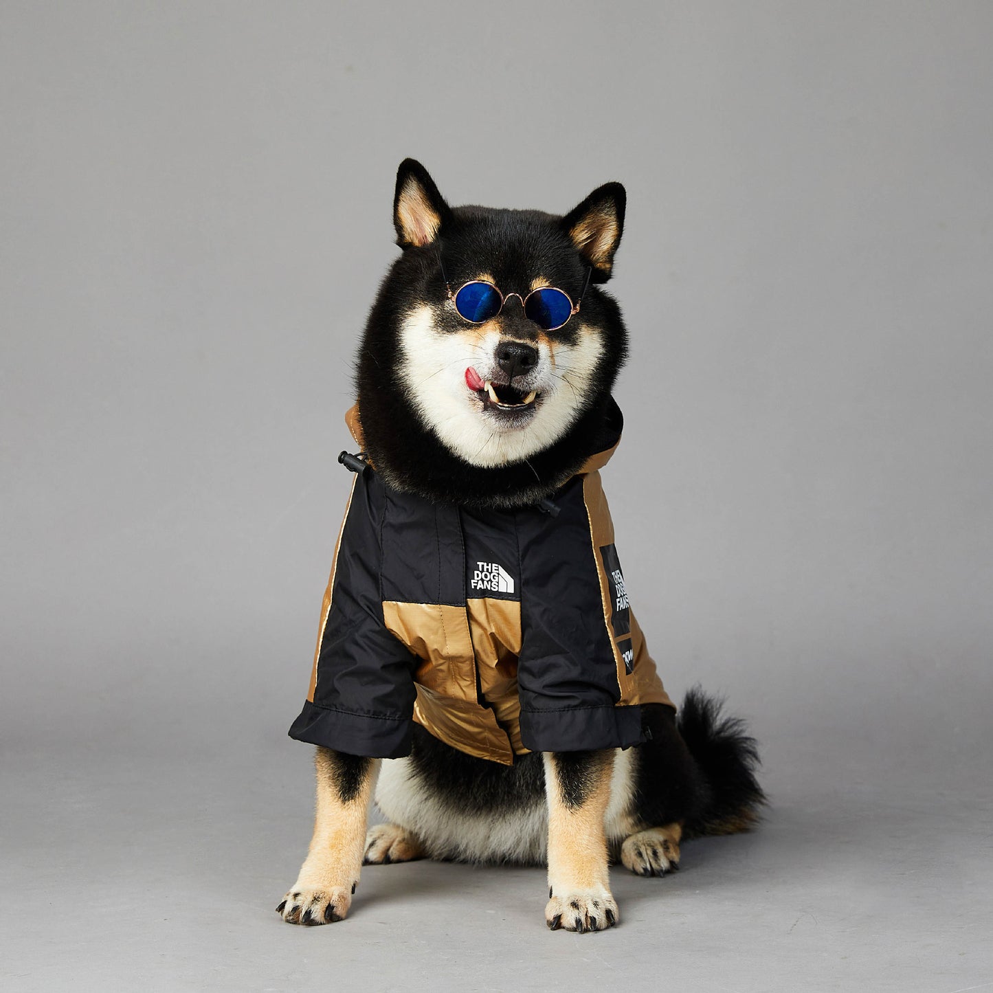 Waterproof Dog Raincoat with Hood – Windproof Winter Pet Jacket for Large Dogs