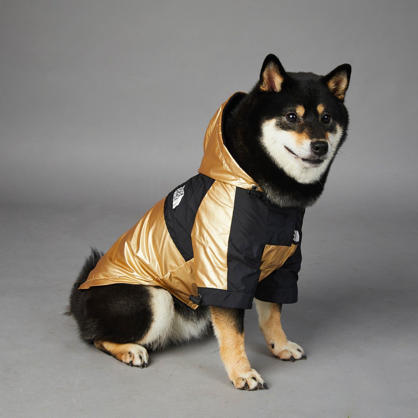 Waterproof Dog Raincoat with Hood – Windproof Winter Pet Jacket for Large Dogs
