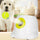 Dog Pet Automatic Interactive Ball Launcher