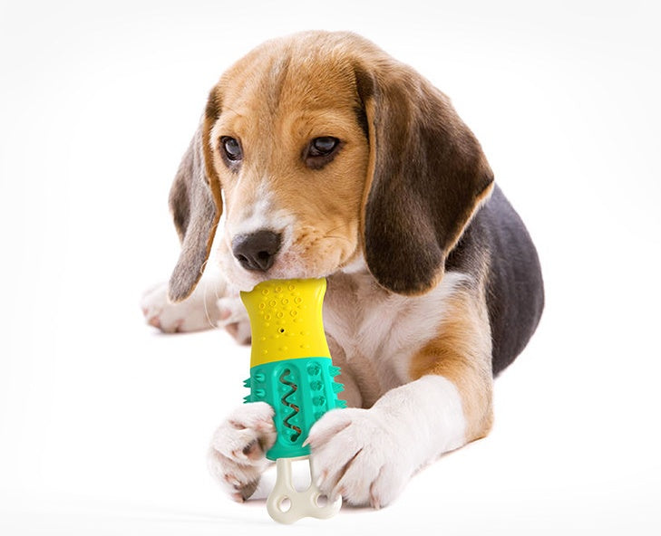 Summer Cooling Pet Chew Toy – Teeth Cleaning & Oral Care Dog Supplies