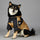 Waterproof Dog Raincoat with Hood – Windproof Winter Pet Jacket for Large Dogs
