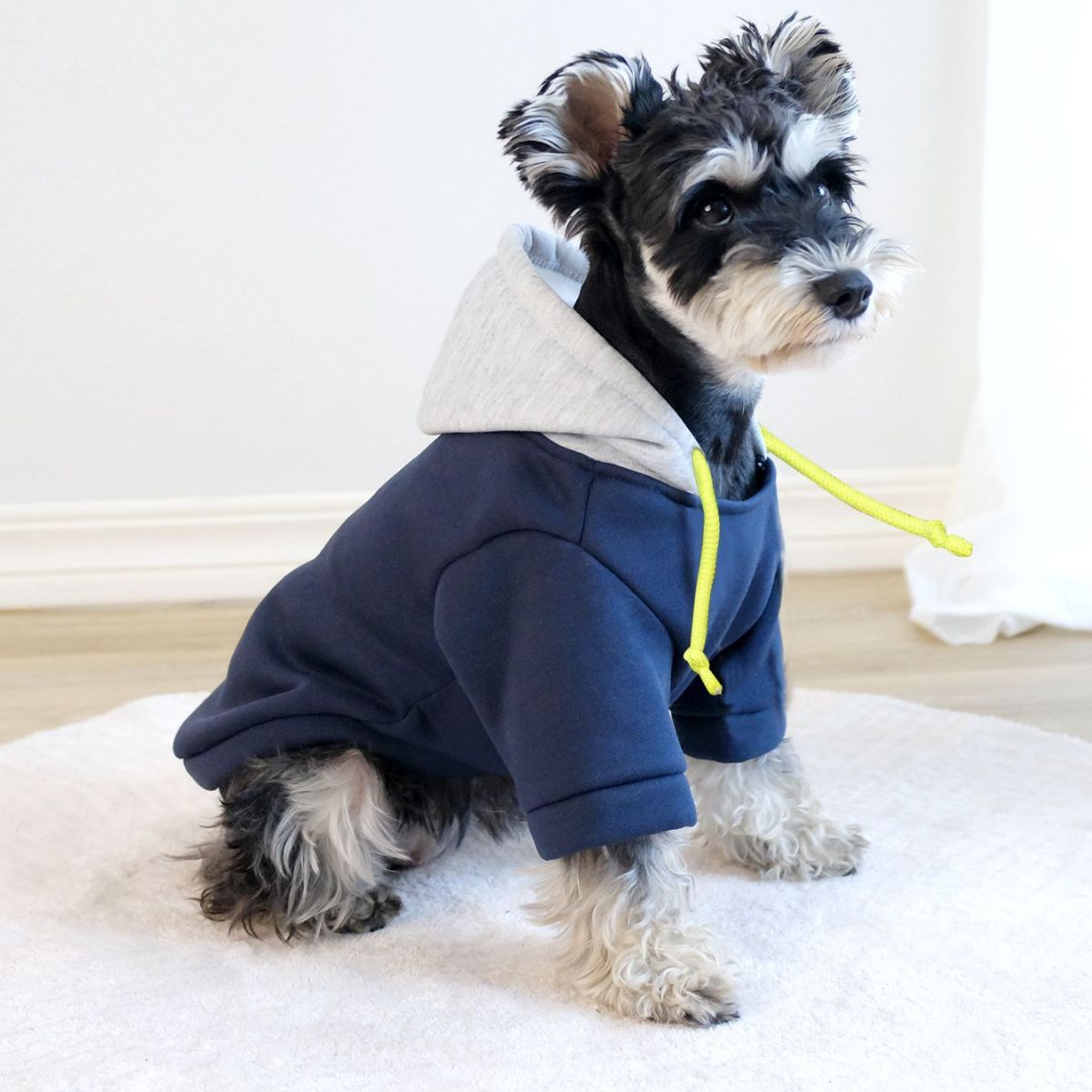 Pet Clothing Clothes Simple Hooded Pullover Contrast Color